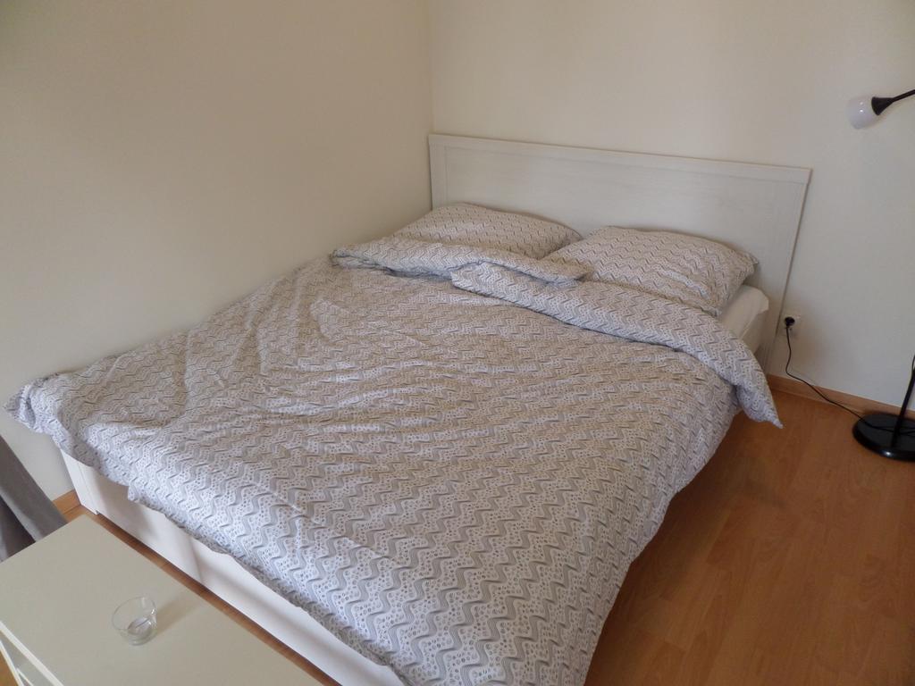 Apartman Vrchlabi - Centrum エクステリア 写真